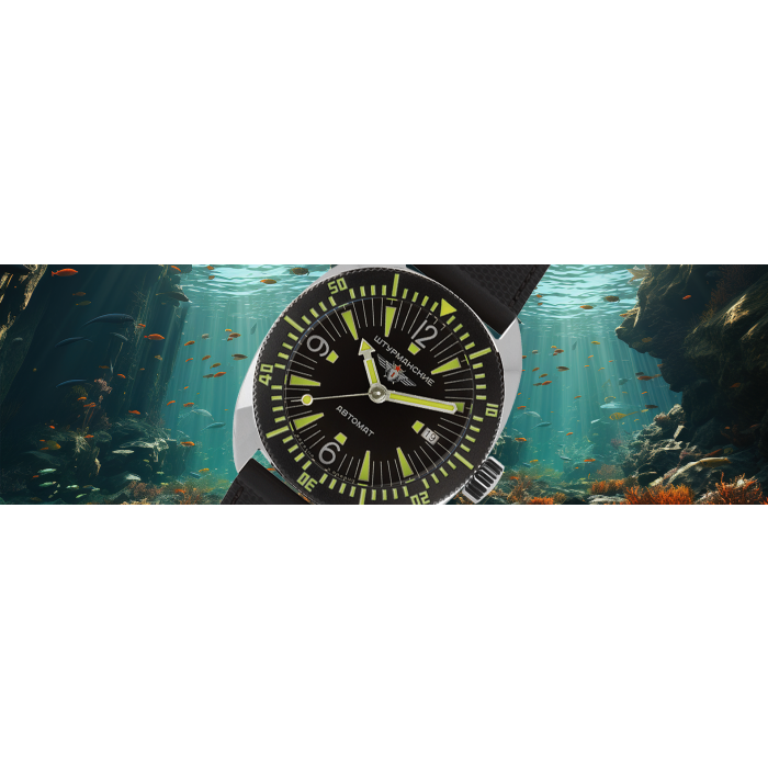 Sturmanskie Dolphin Automatik 2416-​8881505 Sturmanskie Dolphin