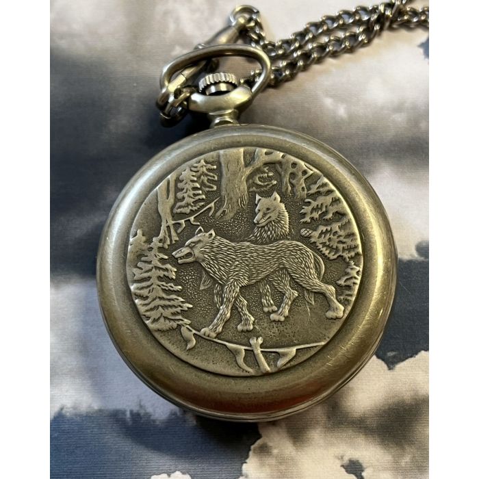 Molnija pocket watch 